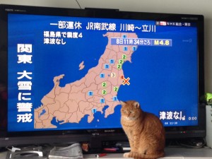 最近のテレビひどい(01)